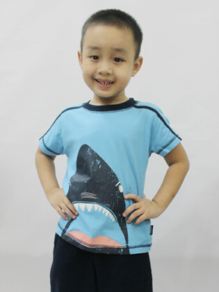 A0613 (5)