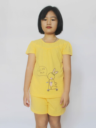 Aq6276 (1)