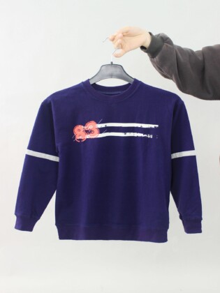 Z3952982646980 F22726fc451c0c6e184cb65d9a204e91